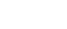 MrPunter